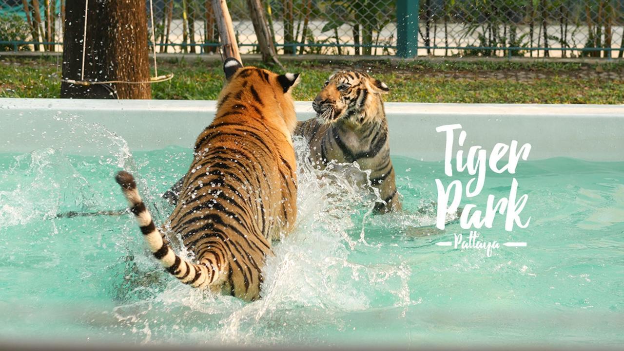 Amazing Tropical Family Thai Style Villa All Costs Included パッタヤー エクステリア 写真